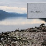 Pokazała „najbardziej fascynujące jak dotąd" zdjęcia Potwora z Loch Ness 