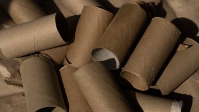 Pokrój na kawałki i zakop. Puste rolki po papierze są bezcenne w ogrodzie