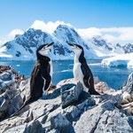 Pokrywa lodowa wokół Antarktydy rekordowo mała