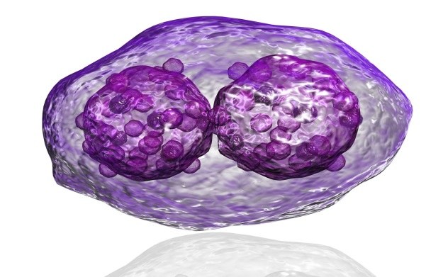 Pokswirus taki jak wirus ospy pomoże zniszczyć raka wątroby /123RF/PICSEL