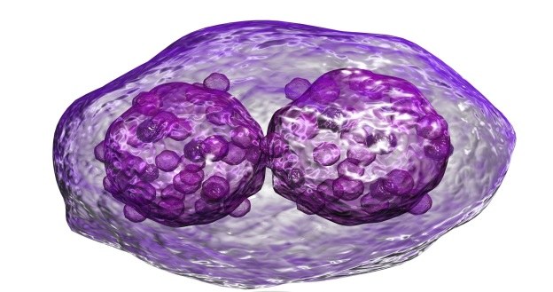 Pokswirus taki jak wirus ospy pomoże zniszczyć raka wątroby /123RF/PICSEL