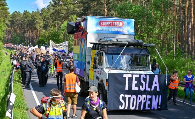 Pół miliona drzew wycięto pod Gigafactory Tesli pod Berlinem