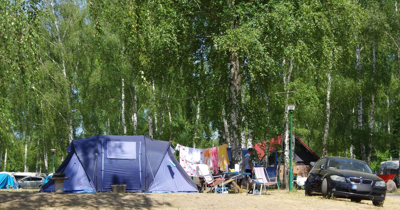 Pola namiotowe nad jeziorami. Polacy coraz chętniej spędzają tam wakacje /ZOFIA BAZAK/Marek Bazak /East News