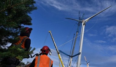 Polacy chcą energii z wiatru. Czy rząd Morawieckiego usłyszy głosy obywateli?