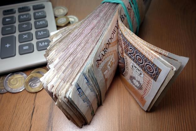 Polacy chętnie kupują obligacje oszczędnościowe /&copy;123RF/PICSEL
