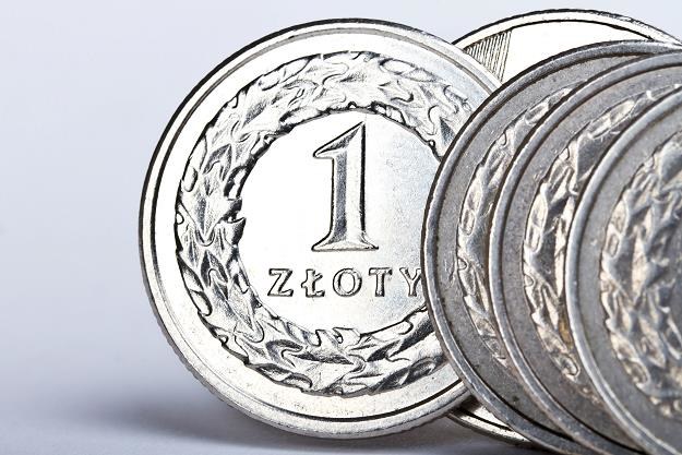 Polacy chętnie kupują obligacje skarbowe /&copy;123RF/PICSEL