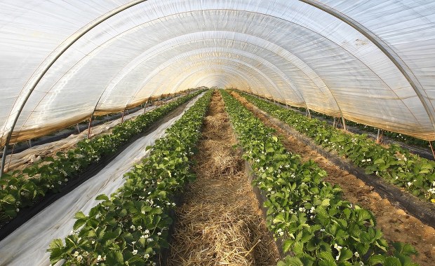 Polacy ciężko ranni w pożarze w belgijskiej firmie w Zepperen