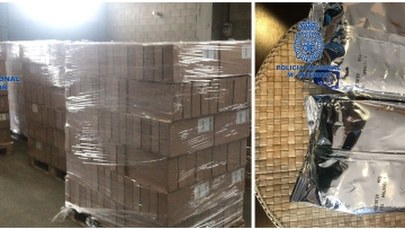 Polacy fałszowali mleko w proszku dla dzieci. Mieli swoją "fabrykę" w Hiszpanii