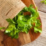 Polacy ją kochają, dodają do rosołu. Wygrała ranking najbardziej trujących