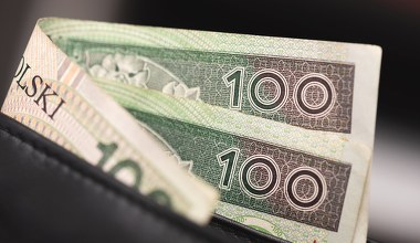 Polacy kochają gotówkę, gromadzimy banknoty na potęgę. Dane nie kłamią