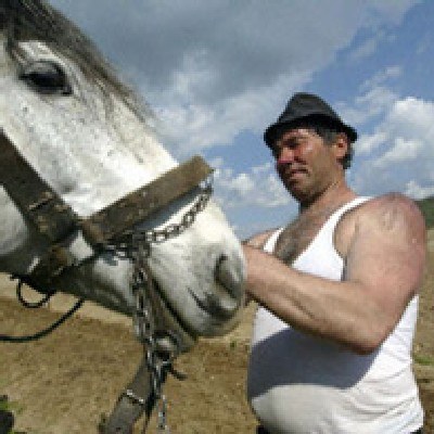 Polacy kombinują jak koń pod górę /AFP