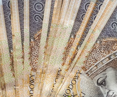 Polacy kupili obligacje za ponad 6 mld zł. "Czterolatki" najpopularniejsze
