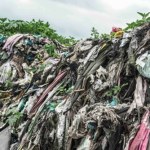 ubrania Polacy mają sposób na stare ubrania. Używając grzybów, robią z nich cegły