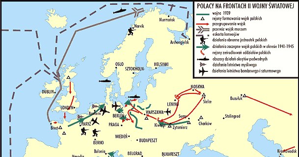 Polacy na frontach II wojny światowej /Encyklopedia Internautica