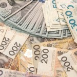 Polacy na tym rynku stracili majątek. KNF przedstawiła nowe dane