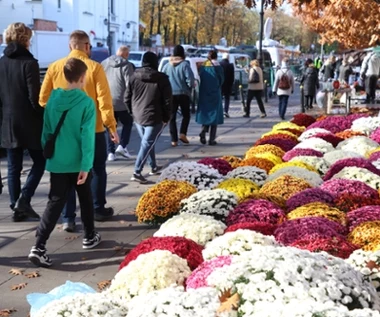 Polacy nie będą zadowoleni. Symbol Wszystkich Świętych drastycznie podrożeje