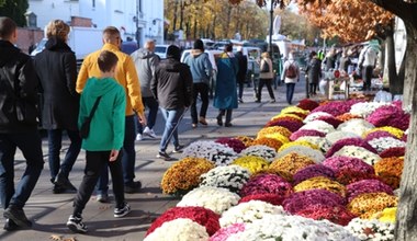 Polacy nie będą zadowoleni. Symbol Wszystkich Świętych drastycznie podrożeje