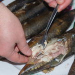 Polacy nie chcą jeść bałtyckich ryb. Cierpią na tym krajowi rybacy