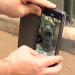 Polacy nie potrafią się zachować. Zoo to nie plac zabaw