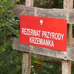 Polacy nie szanują rezerwatów. Śmieci, psy i łamanie regulaminu