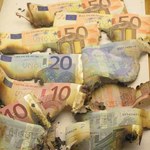 Polacy nie wierzą w euro