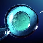 ​Polacy o in vitro: Powinno być dofinansowywane przez państwo [SONDAŻ]