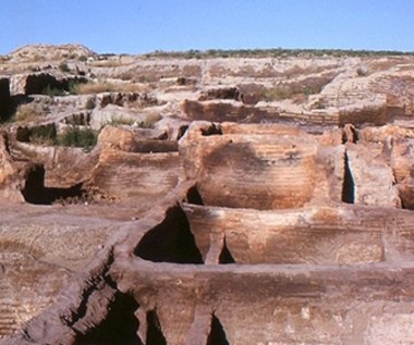 Polacy odkryli budowlę mającą 8000 lat. W niej znaleźli nowe informacje o ludzkiej cywilizacji