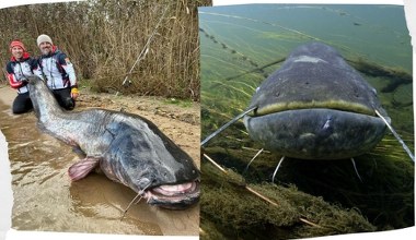 Polacy pobili rekord świata. Z zalewu wyłowili największego potwora