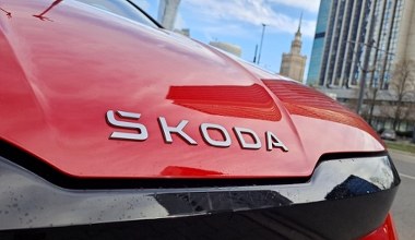 Polacy pokochali te modele Skody. Które najlepiej sprzedawały się w Polsce?