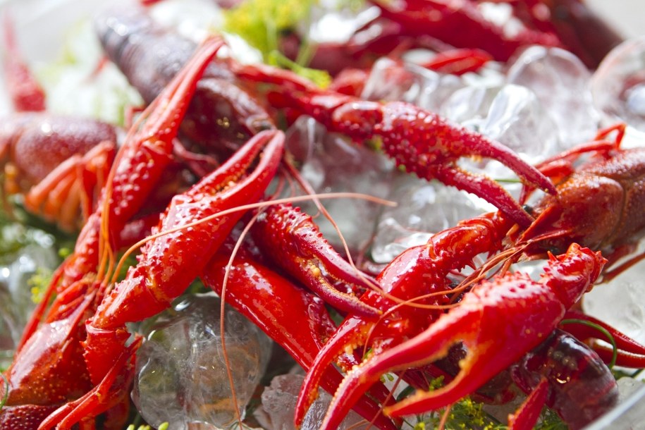 Polacy polubili owoce morza /Paweł Pawłowski /PAP