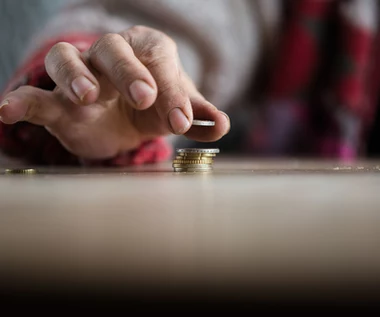 Polacy przenoszą oszczędności. Większość nie potrzebuje doradców