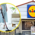 Polacy ruszą do Lidla po ten odkurzacz. Cena może zaskoczyć