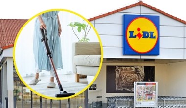 Polacy ruszą do Lidla po ten odkurzacz. Cena może zaskoczyć