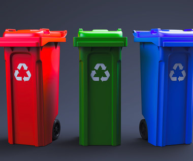 Polacy słabo segregują śmieci. Za dużo odpadów trafia do "czarnych worków"