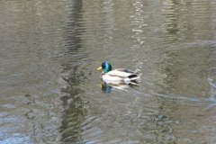 Polacy spragnieni słonecznej pogody 