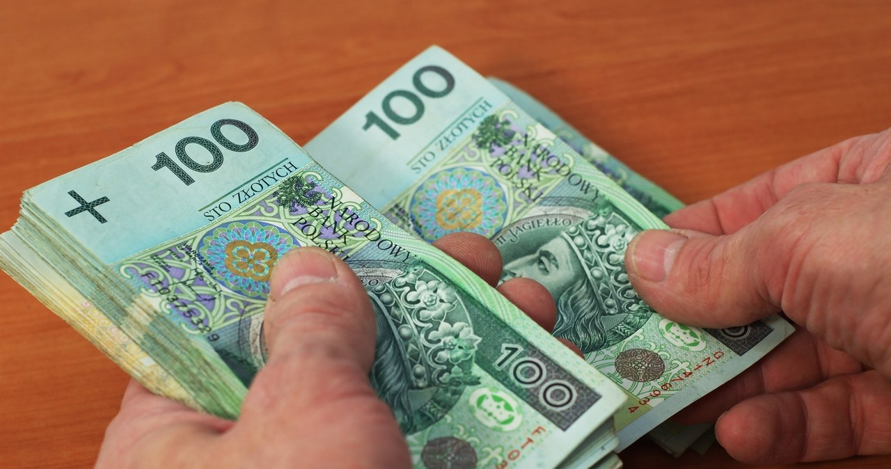 Polacy traktują PPK jako źródło dodatkowych dochodów /123RF/PICSEL
