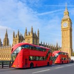 Polacy w UK zarabiają więcej niż miejscowi. Oto sekret ich sukcesu