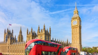 Polacy w UK zarabiają więcej niż miejscowi. Oto sekret ich sukcesu