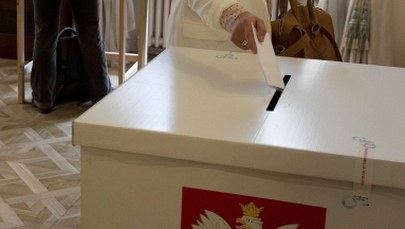 Polacy w USA po wyborach: Powinniśmy zrewidować nasze sojusze 