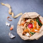 Polacy wciąż popełniają błąd. Te śmieci nie nadają się do bio