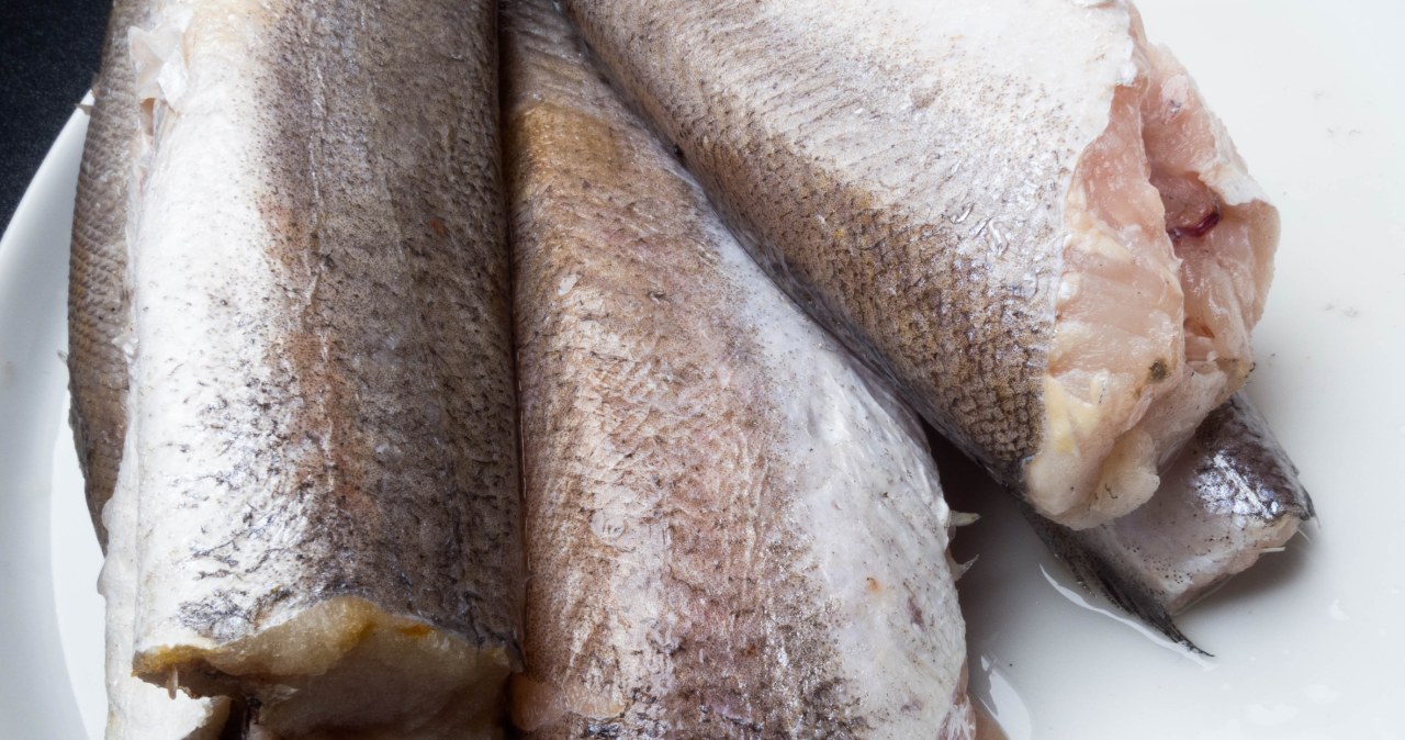 Polacy wciąż rzadko sięgają po tę rybę, a jest bardzo zdrowa /artemidovna /123RF/PICSEL