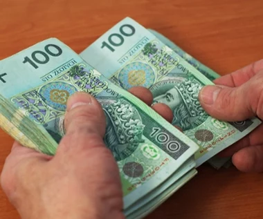 Polacy wyciągają z PPK krocie. "Rekordzista wypłacił 800 tys. zł"