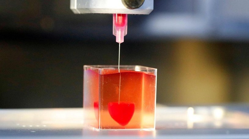 Polacy wydrukowali pierwszą na świecie bioniczną trzustkę, a Izraelczycy serce /Geekweek