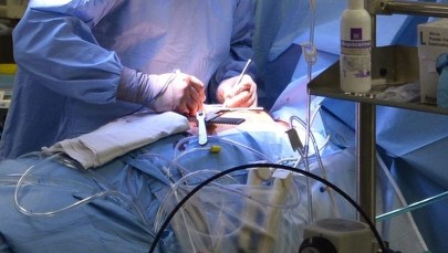 Polacy wydrukowali pierwszą na świecie bioniczną trzustkę z naczyniami