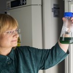 Polacy wyhodowali wyjątkowe algi do zadań specjalnych
