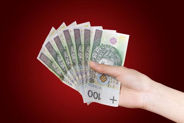 Polacy zaciągają coraz mniej pożyczek /&copy;123RF/PICSEL