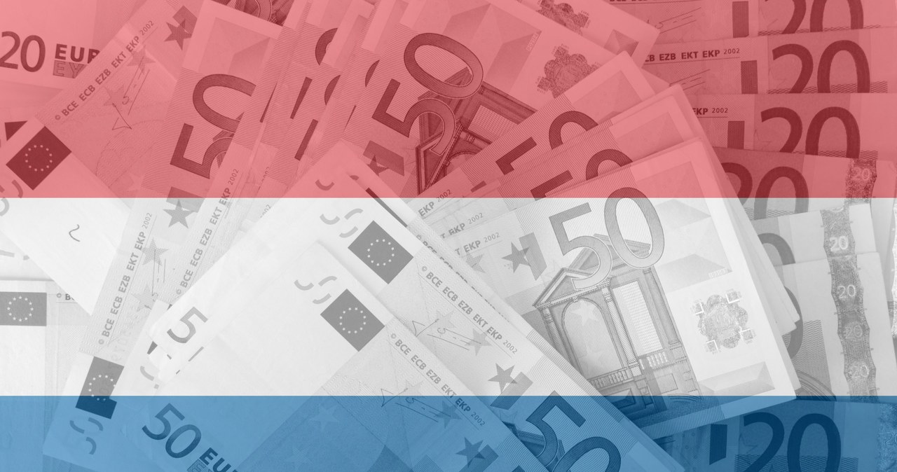 Polacy zainteresowani pracą w Kraju Tulipanów mogą liczyć na stawki w wysokości 8,63-9,58 euro na godzinę /123RF/PICSEL