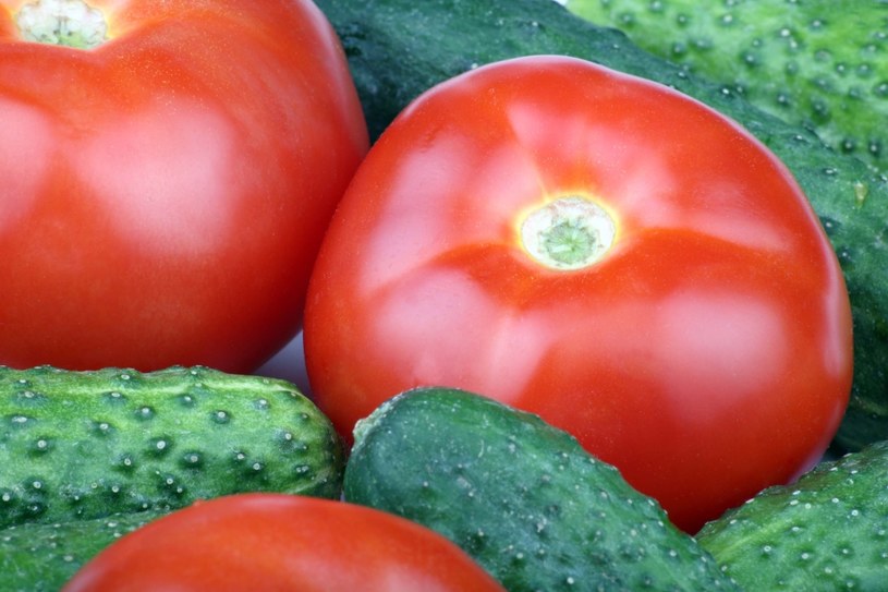 Połączenie pomidora z ogórkiem może mieć szkodliwe działanie /123RF/PICSEL