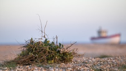 Połączył ich list w butelce. Spotkali się po 34 latach 