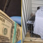 Polak i Białorusin zatrzymani. Przemycali papierosy w balonach meteorologicznych 